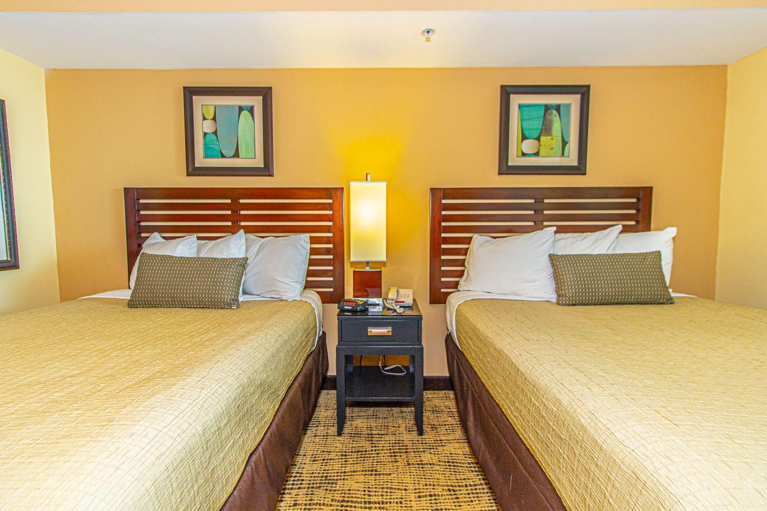 Towers On The Grove 724 Direct Oceanfront Suite Sleeps 6 Guests 默特尔比奇 客房 照片